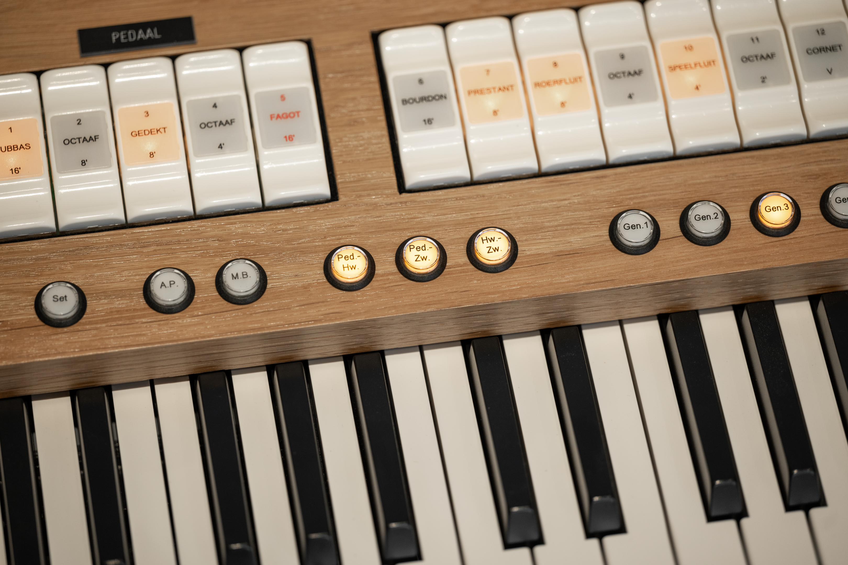 Render Organ (レンダーオーガン) CDソフト Render Organ (レンダーオーガン) CDソフトの通販｜vjordaninc.com